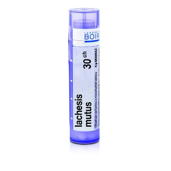 Lachesis mutus 30CH granule 4g