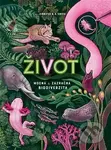 Život - Jennifer N. R. Smith