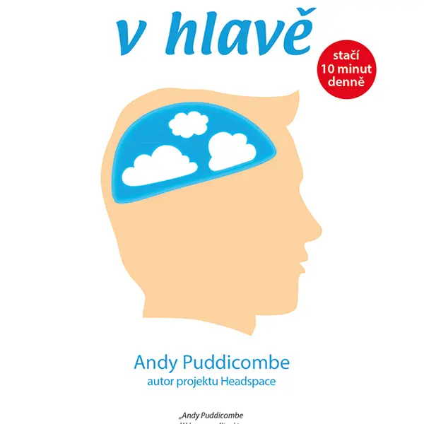Kniha: Ukliďte si v hlavě od Puddicombe Andy
