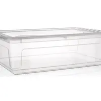 Úložný box Bea 30 l, průhledný