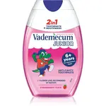 Vademecum Junior 2 in 1 zubní pasta a ústní voda 2 v 1 pro děti 6+ let 75 ml