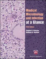 Medical Microbiology and Infection at a Glance - Kathleen B.  Bamford, Stephen H.  Gillespie