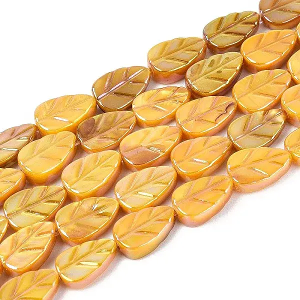 Natural Freshwater Shell Carved Beads Strands