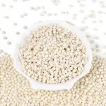 Baking Paint Pearlized Glass Seed Beads