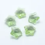 Transparent Glass Pendants