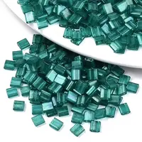FGB 2-Hole Baking Paint Glass Seed Beads