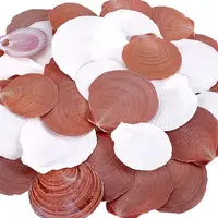 40Pcs Natural Shell for Aquarium Fish Tank Ornaments