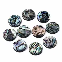 Natural Abalone Shell/Paua Shell Beads