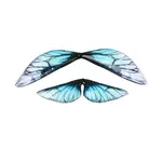 2Pcs Transparent Epoxy Resin Butterfly Wings Cabochons