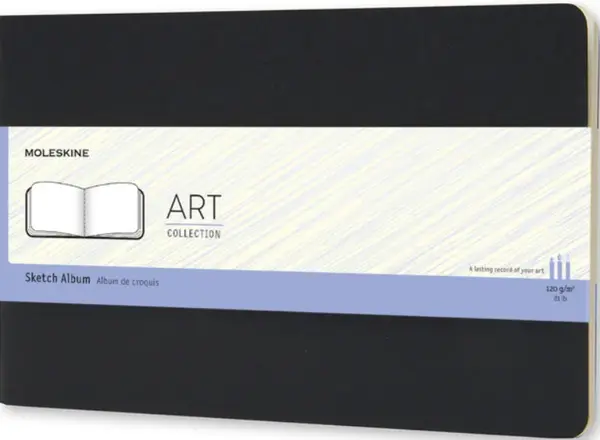 Skicář Moleskine Album, L - černý