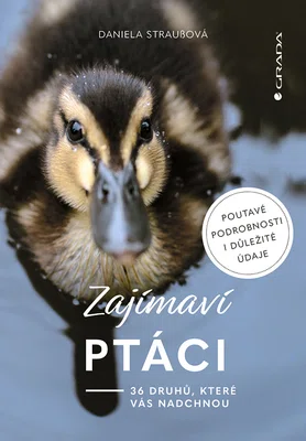 Kniha: Zajímaví ptáci od Straußová Daniela