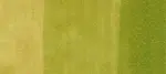 Copic Ink – YG03 Yellow Green