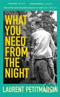 What You Need From The Night - Laurent Petitmangin - kniha z kategorie Společenská beletrie