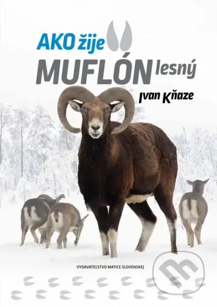 Ako žije muflón lesný - Ivan Kňaze - kniha z kategorie Biologie