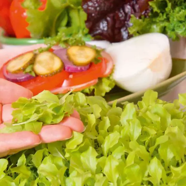 Mikrozelenina Šalát