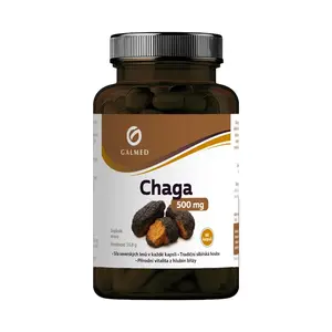 Galmed Chaga 500 mg 90 kapslí