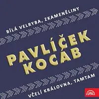 Michael Kocáb, Michal Pavlíček – Pavlíček, Kocáb