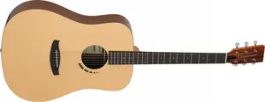 Tanglewood TM5