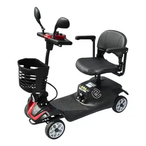 Racceway Elektrický čtyřkolový vozík SOLID, vínový