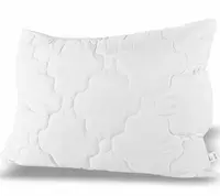 EMI VANKUS 70X90 ANTIALERGICKY PRESIVANY PRUM