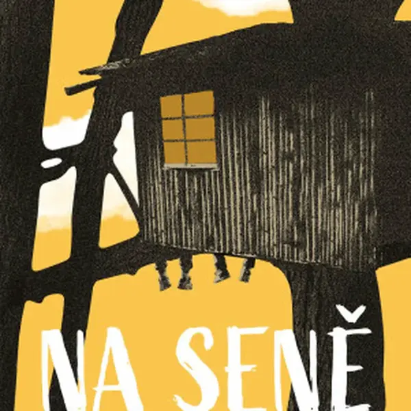 Na Seně - Vojtěch Rauer