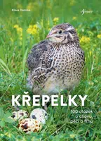 Křepelky - 100 otázek o plemenech, chovu, marketingu - Damme Klaus