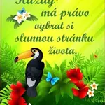Plechová cedulka - Každý má právo vybrat si slunnou stránku života - Sri Chinmoy