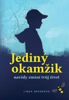 Jediný okamžik navždy změní tvůj život - Linda Greenová