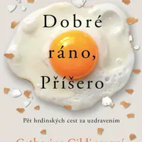 Dobré ráno, Příšero - Pět hrdinských cest za uzdravením - Gildinerová Catherine