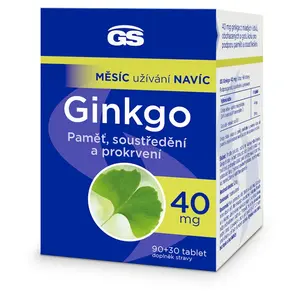 GS Ginkgo 40 mg 90 + 30 tablet