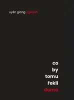 Co by tomu řekli doma - Uyen Giang  Nguyen